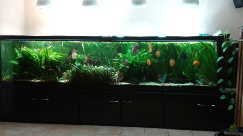 Aquarium Hauptansicht von Becken 30006 von Fischverrückt (1)