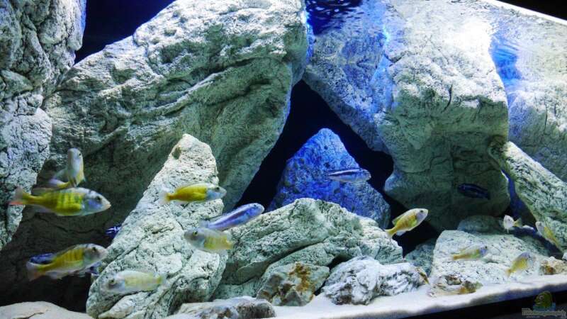 Aquarium Hauptansicht von Unterwasser-Höhle