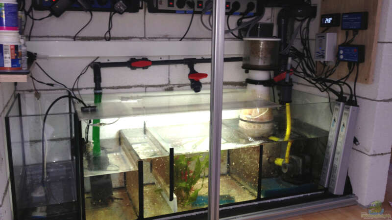 Technik im Aquarium Hawaiian Tank von uschi vanHouten (7)
