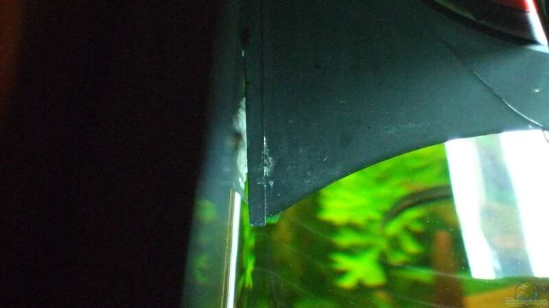 Bild vom 1. Versuch - Mittelstrebe des Aquariums löste sich - Frontscheibe bog sich von Oberoesterreicher (11)