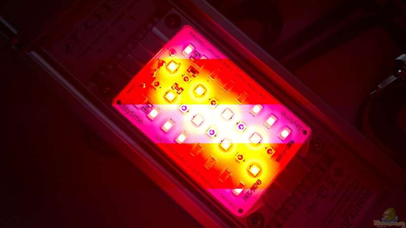 daytime matrix 20.1 UBRW RED LED MODUL von ehemaliger User (116)