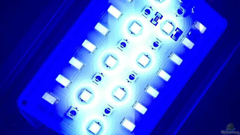 daytime matrix UBRW BLUE LED MODUL von ehemaliger User (115)