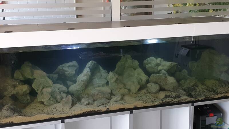 Erste Bilder beim dekorieren der Felslandschaft mit Tageslicht Sicht  von ehemaliger User (102)