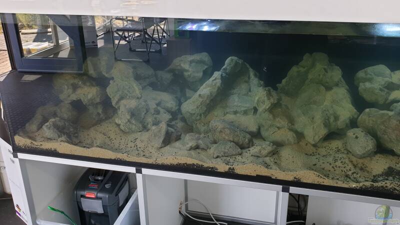 Erste Bilder beim dekorieren der Felslandschaft mit Tageslicht Sicht  von ehemaliger User (103)