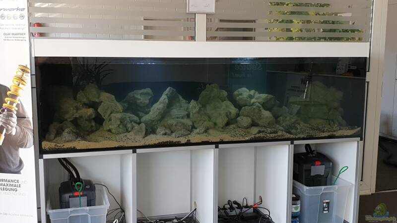 Erste Bilder beim dekorieren der Felslandschaft mit Tageslicht Sicht  von ehemaliger User (105)