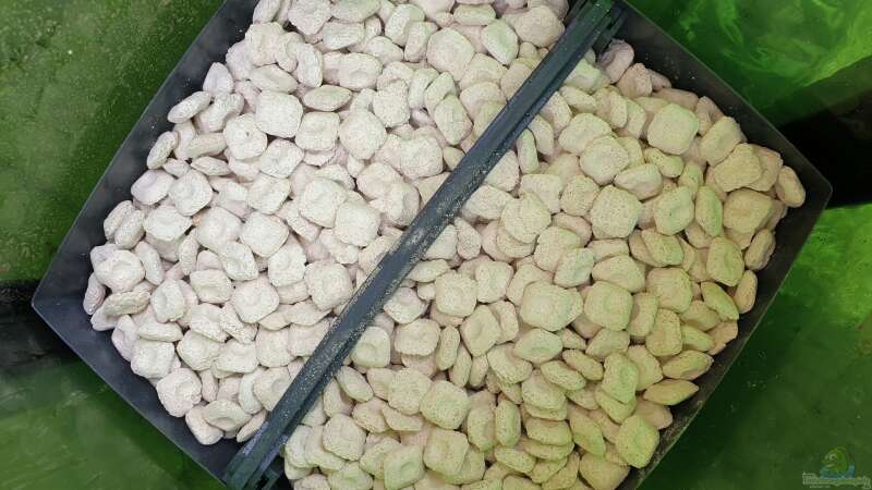 Filtermedien im Eheim 600T von ehemaliger User (111) Filtermedien im Eheim 600T von ehemaliger User (111)