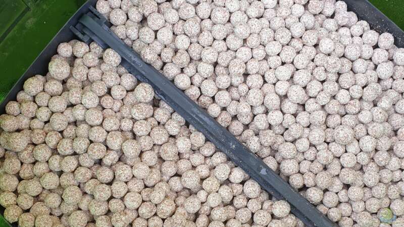 Filtermedien im Eheim 600T  von ehemaliger User (112)