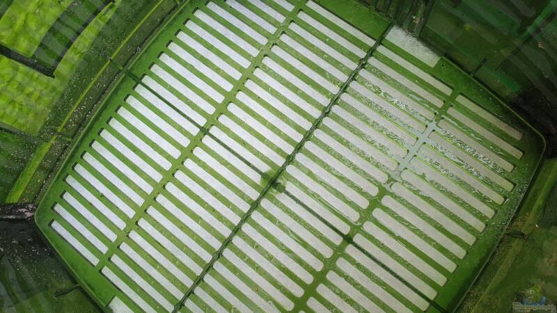 Filtermedien im Eheim 600T  von ehemaliger User (113)