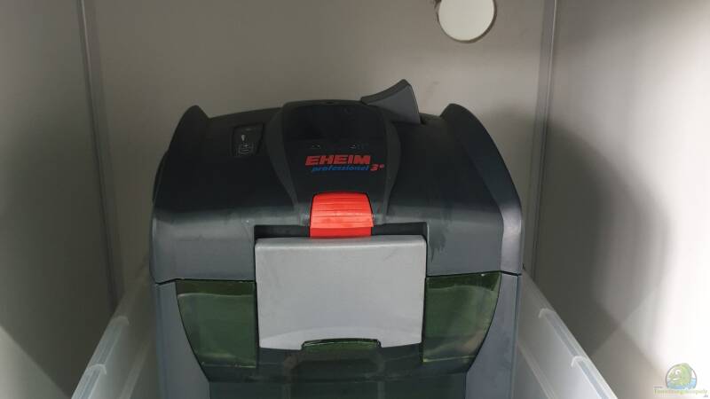 Rechts Außenfilter Eheim 600T von ehemaliger User (108)