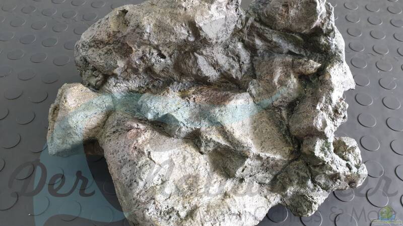 Rockzolid Komodo River K20 von ehemaliger User (90)