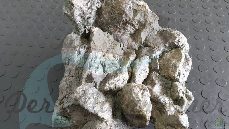 Rockzolid Komodo River K20 von ehemaliger User (91)