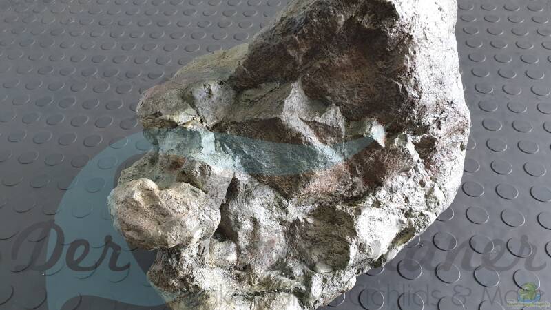 Rockzolid Komodo River K21 von ehemaliger User (92)