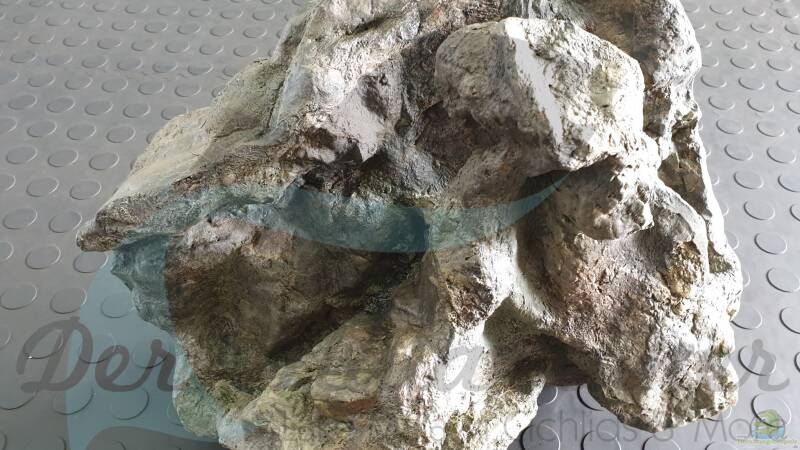 Rockzolid Komodo River K21 von ehemaliger User (94)