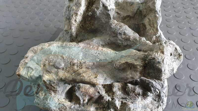 Rockzolid Komodo River K21 von ehemaliger User (95)