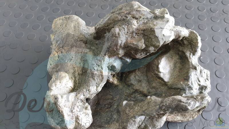 Rockzolid Komodo River K21 von ehemaliger User (96)