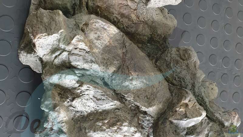 Rockzolid Komodo River K22 von ehemaliger User (101)