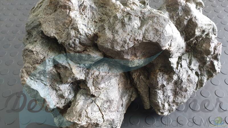 Rockzolid Komodo River K22 von ehemaliger User (98)