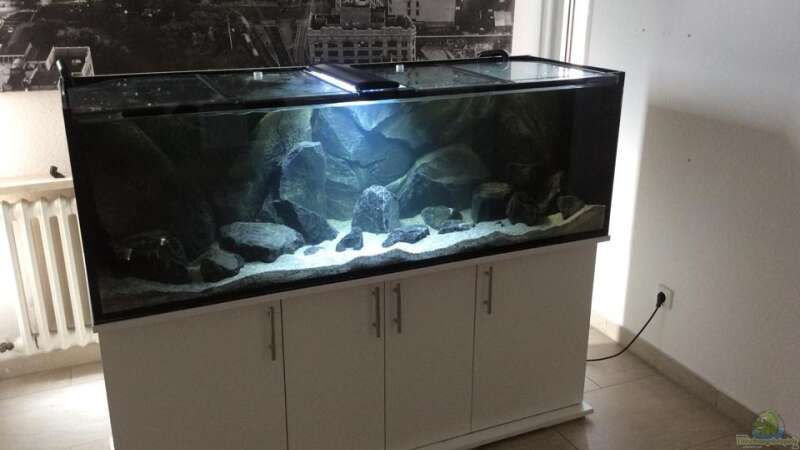 Aquarium Tank 2 NonMbuna von Vin (5)