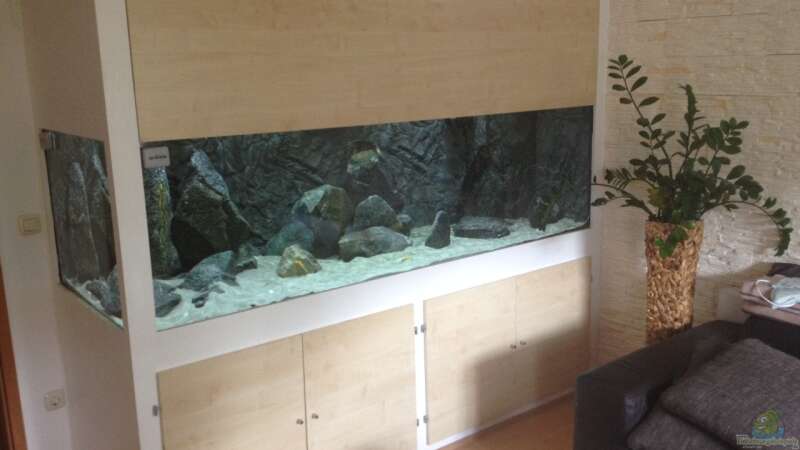 Aquarium Hauptansicht von Petrochromis &quot;Namansi&quot; Nur noch als Beispiel von Wimmer Jürgen (1)