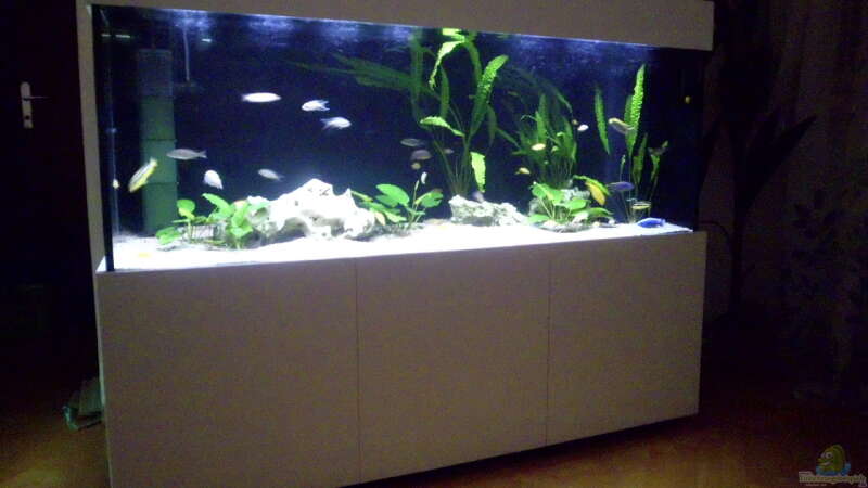 Aquarium Hauptansicht von Fisch-TV für meiner Tochter von Markus Fressner (1)