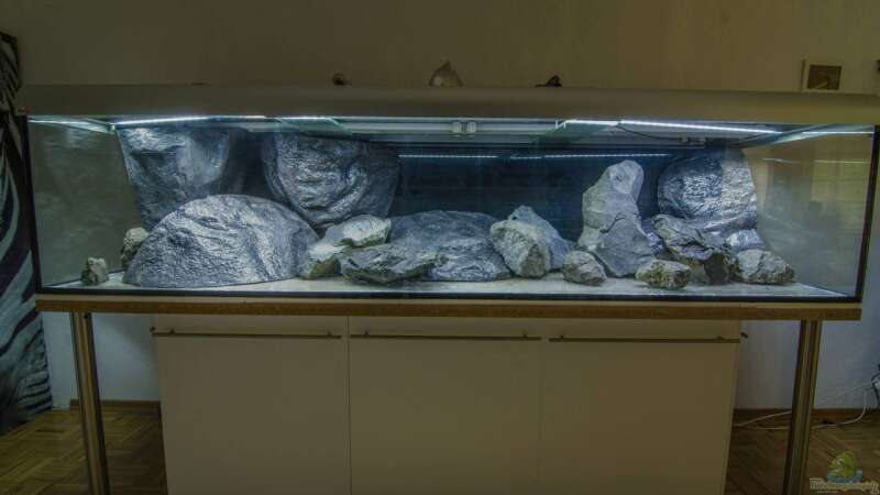 Becken leer, erstes Groblayout mit Modulen und einem Teil des Basalts von Bernd Blender (2) (3)