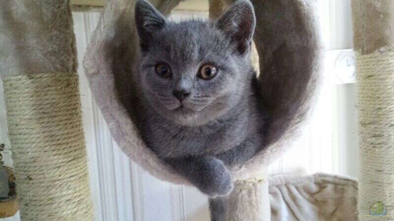 Userbild von Miss Kasimir von Miss Kasimir