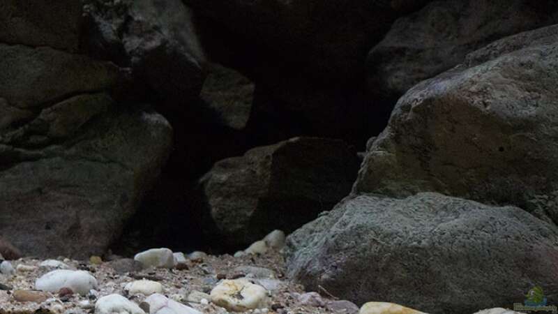Die Felszone ... dunkel gehalten mit vielen Höhlen und Felsnischen .. von AjakAndi (10)
