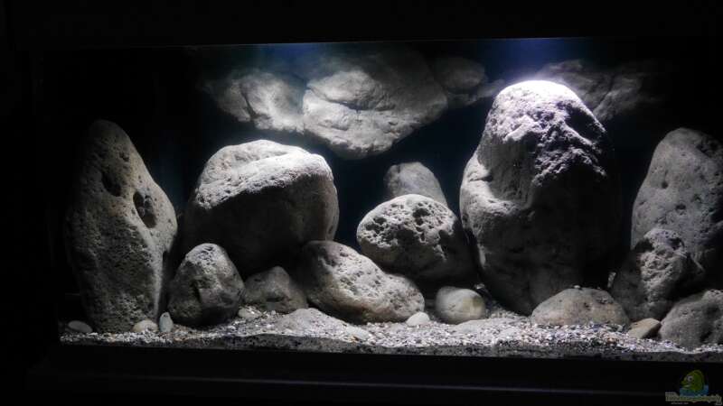 Aquarium Big Rock Mbuna von Jan Steger (4)