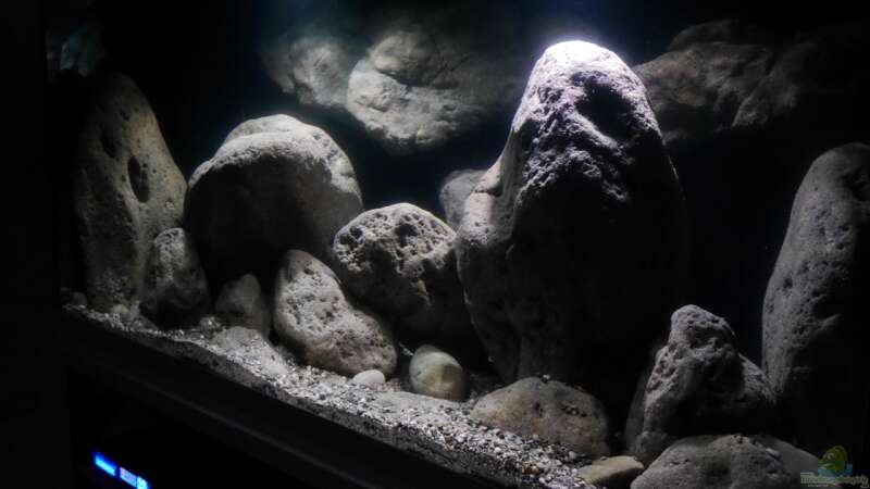 Aquarium Big Rock Mbuna von Jan Steger (5)