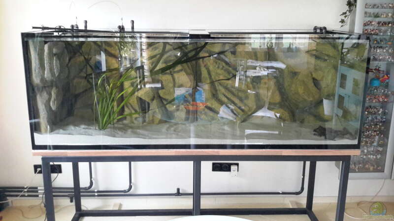 Aquarium Südamerika von brokhauser (2)