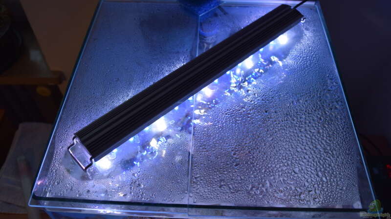 Glasabdeckung von oben mit LED-Leuchte von Junglist (14)