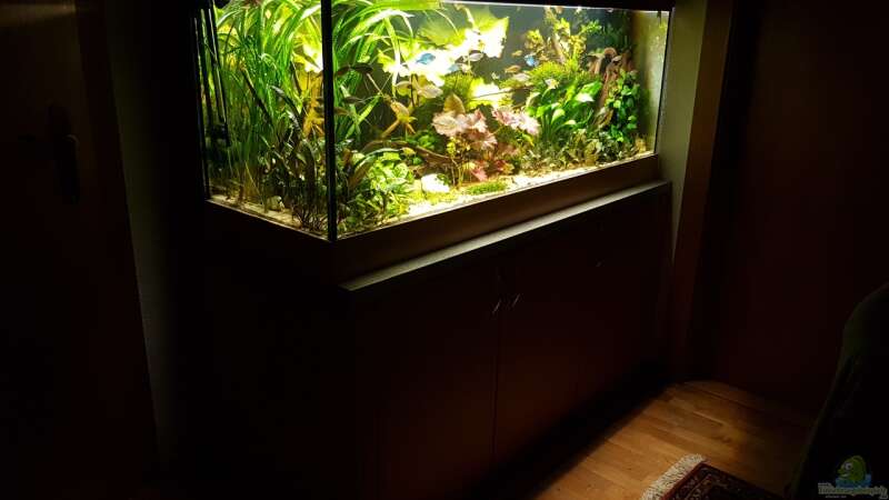 Aquarium Aru&#039;s Place von River Creator (8)