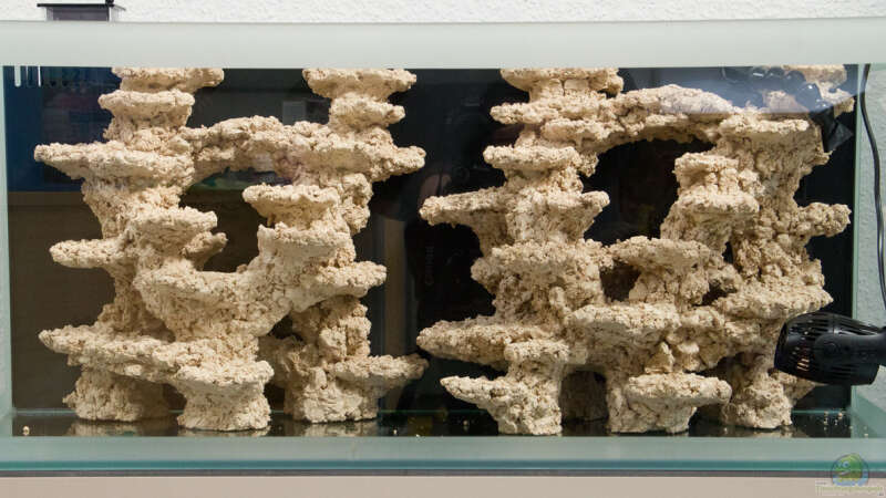 Araka Reef Keramik von mmbm78 (27)