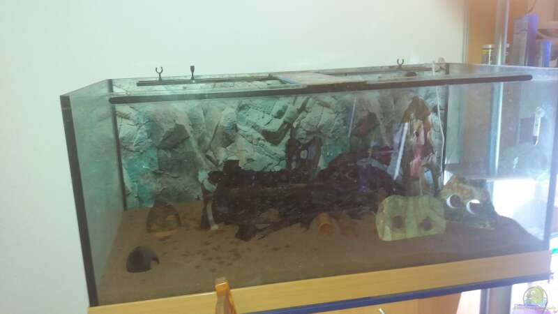 Aquarium Becken 31561 von Ronny Haeringer (13)