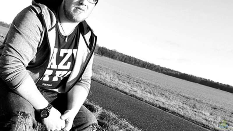 Userbild von marxbre von marxbre