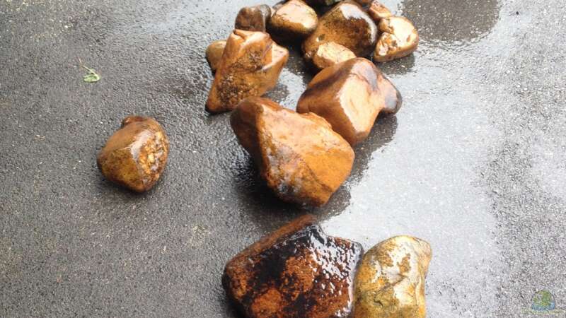 Steine aus der Waldaist von Thomas S-H (6)