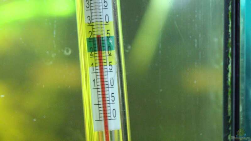 Herkömmliches Thermometer,genauer von Ralf Kl (15)