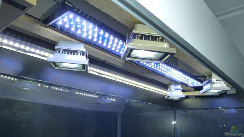 LED-Beleuchtung 4x10W LED-Fluter / 2x100cm LED-Lichtleiste / 1x90cm LED-Aufsetzleuchte von ~Marco~ (52)