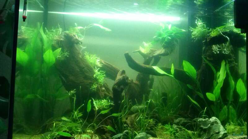 Aquarium Juwel Lido 200 weiss Fx von FleXx0 (16)