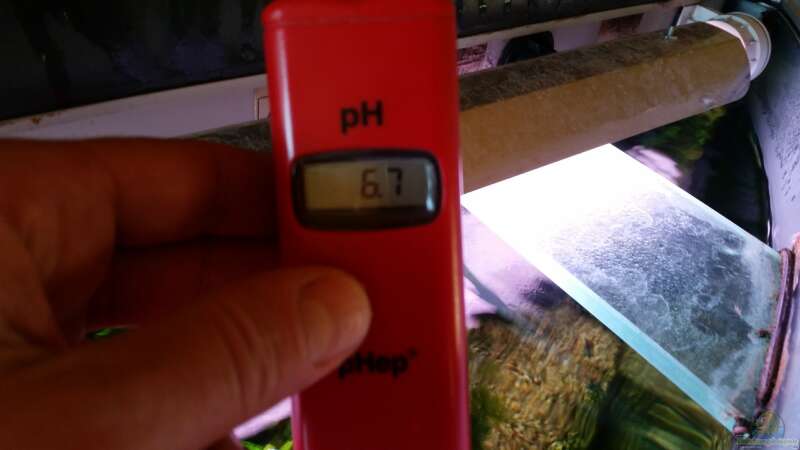 pH Messung von Gigi (23)