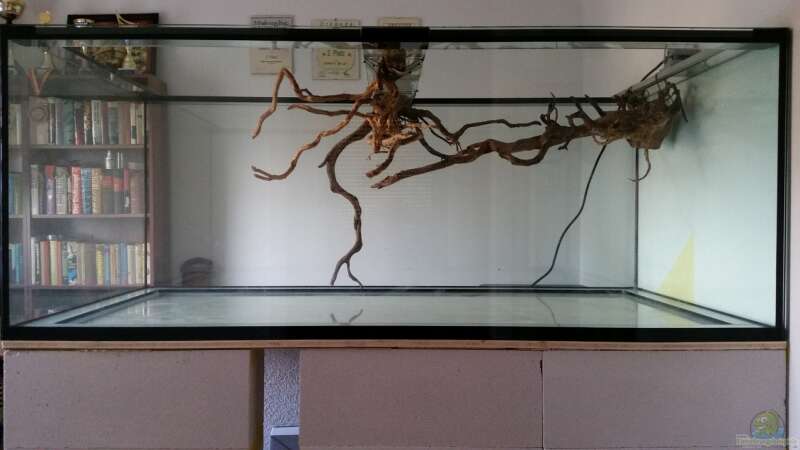 Dekoration im Aquarium Fluss-Monster (Nur noch als Beispiel) von Bernd N. (53)