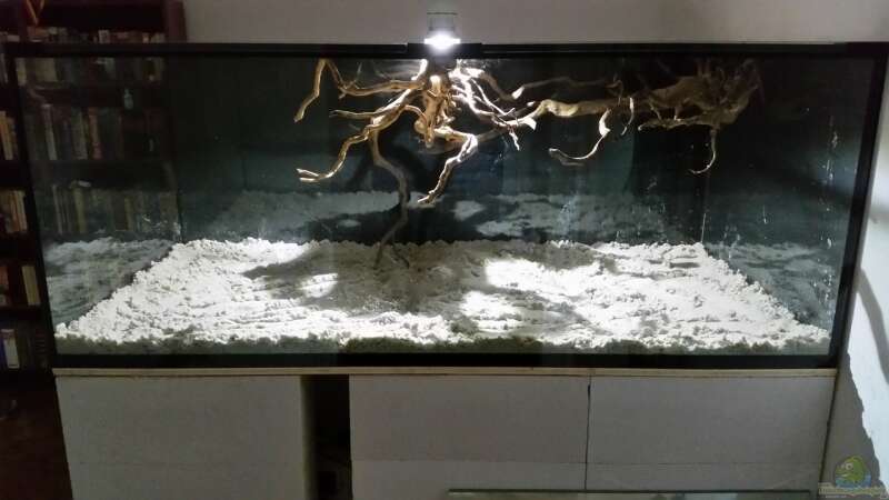 Dekoration im Aquarium Fluss-Monster (Nur noch als Beispiel) von Bernd N. (62)