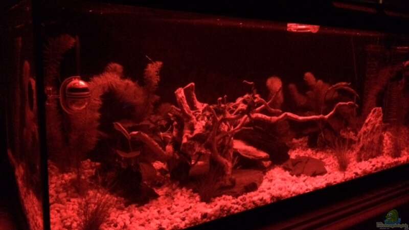Aquarium Deep Blue Sea von .Andreas. (4)