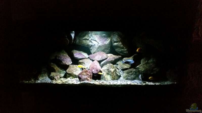 Aquarium Fernsehersatz von Adriano Scholtes (9)