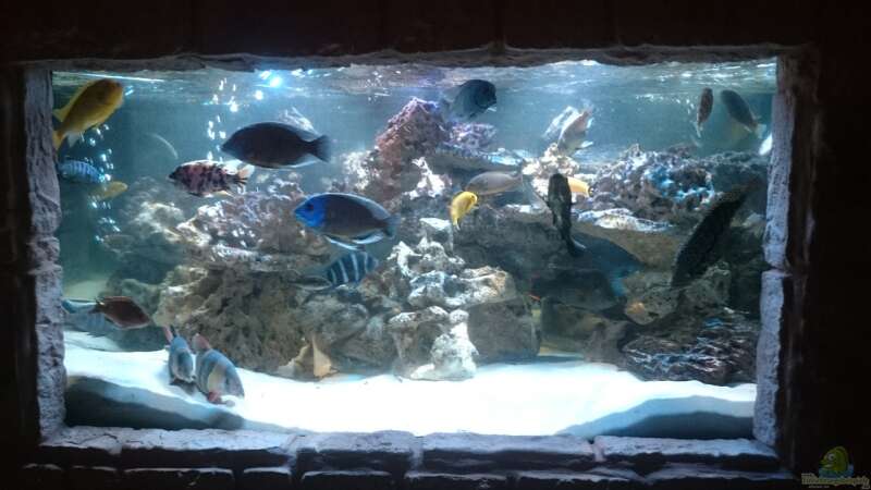 Aquarium Hauptansicht von Fischsuppe von Haxl (1)