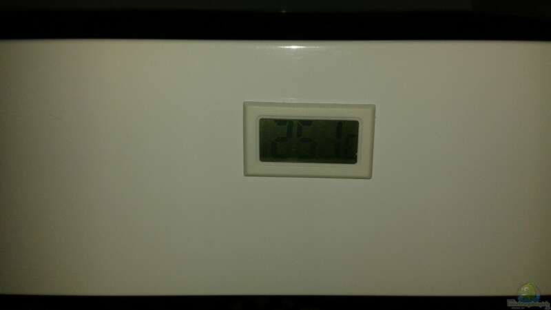 Temperaturanzeige in der Abdeckung eingbaut von freezer2510 (20)