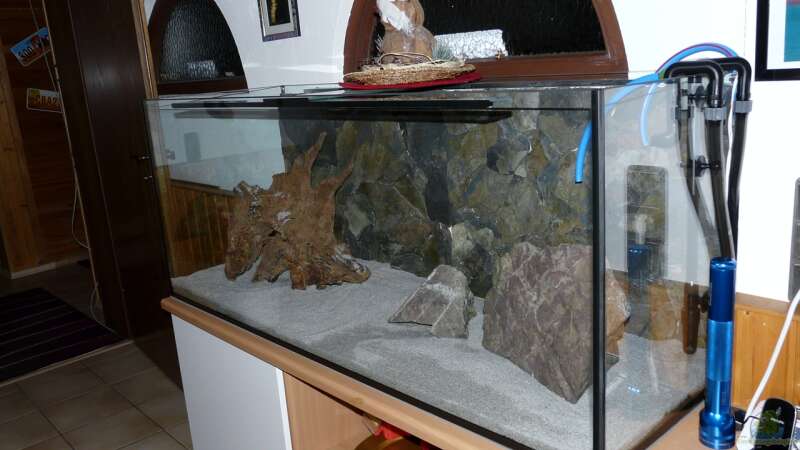 Aquarium jetzt mit eingebrachtem Boden von Ravenclaw57 (7)