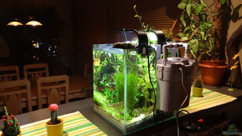 Aquarium Miniunterwasserwelt von mcfly (11)