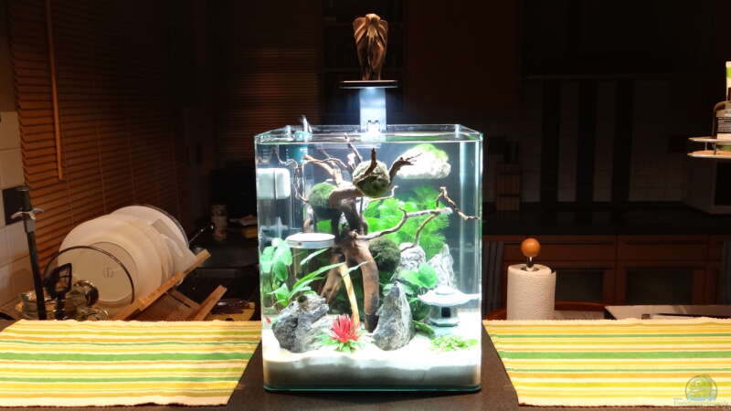 Aquarium Miniunterwasserwelt von mcfly (49)