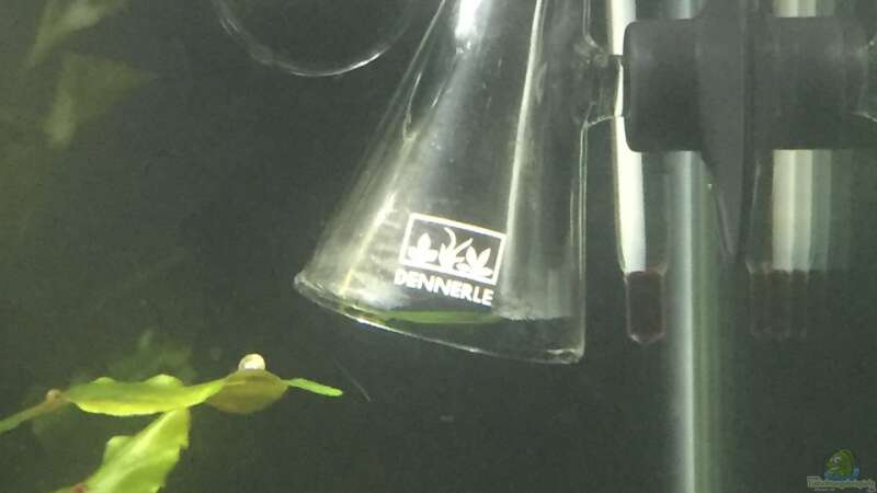 Technik im Aquarium Garnelen Cube von DL (25)
